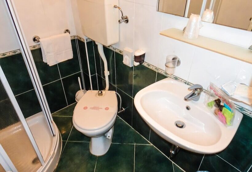 בית מלון כפרי Color Metropolitan Family