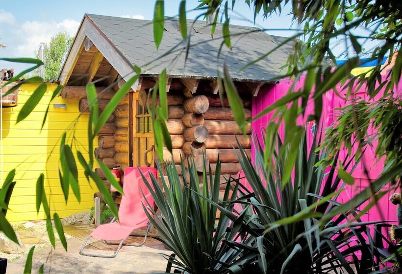 בית מלון כפרי Dolores Ameland