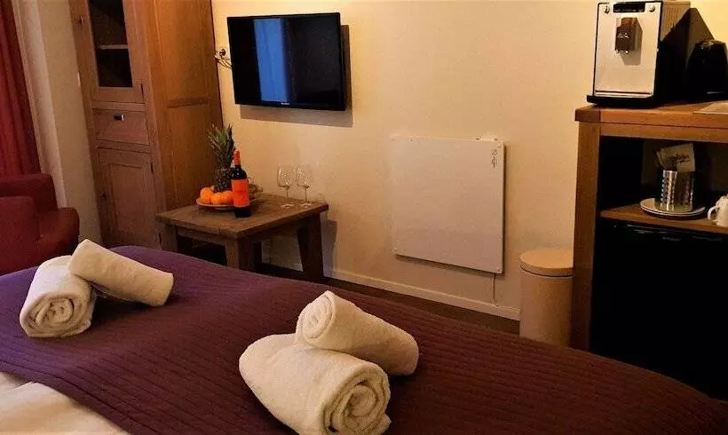 酒店 Dolores Ameland