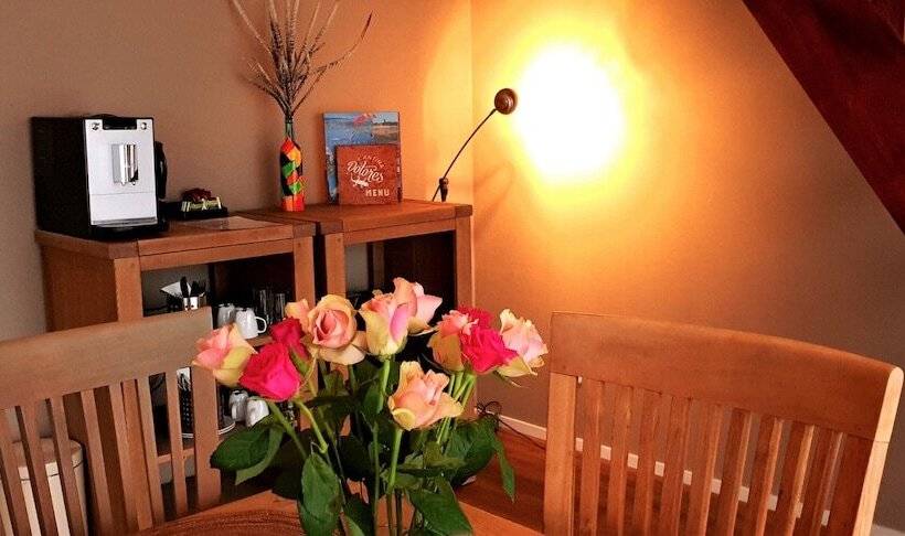 בית מלון כפרי Dolores Ameland