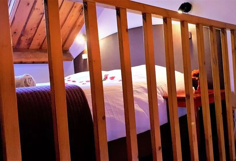 酒店 Dolores Ameland