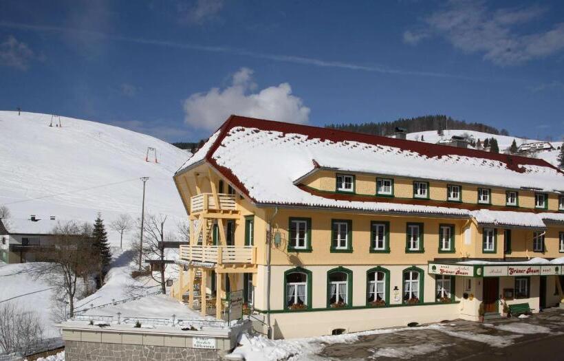 Grüner Baum Naturparkhotel & Schwarzwald Restaurant