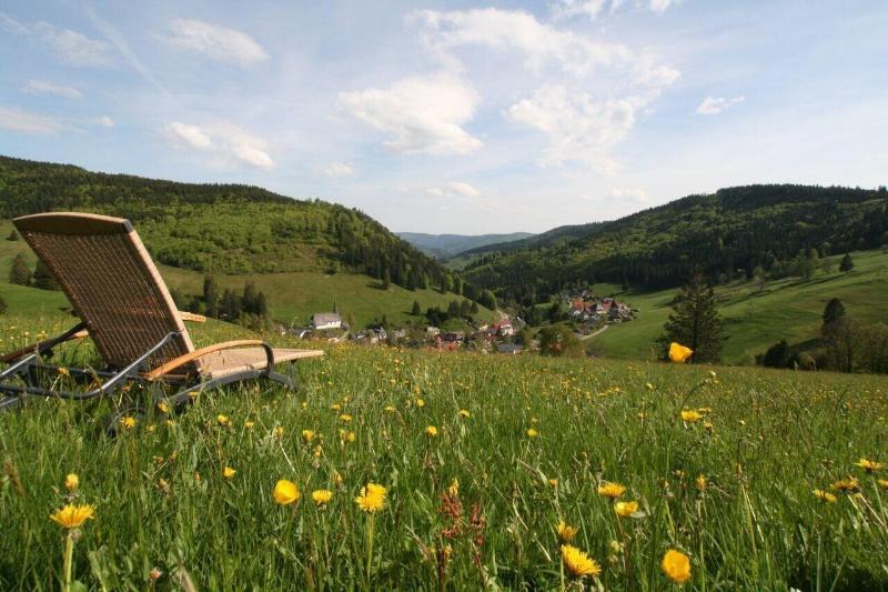 Grüner Baum Naturparkhotel & Schwarzwald Restaurant