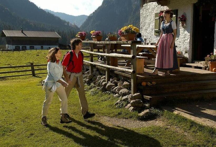 فندق Garni Landhaus Traunbachhäusl