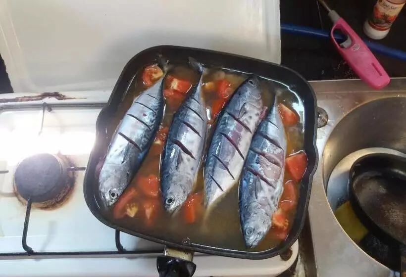 پانسیون Mariblu