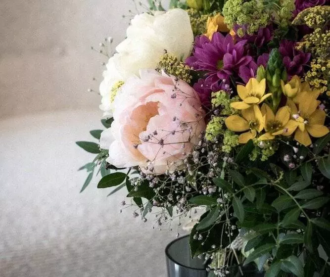 هتل Adler Historic Guesthouse