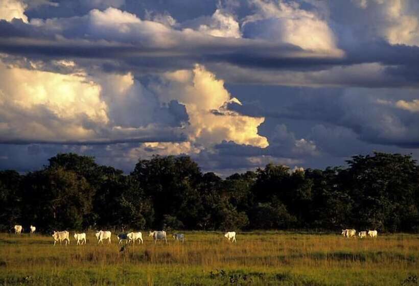 酒店 Barra Mansa Lodge