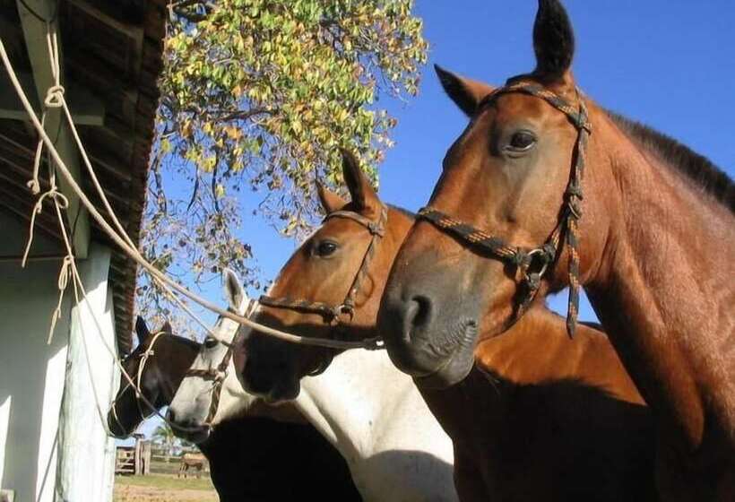酒店 Barra Mansa Lodge