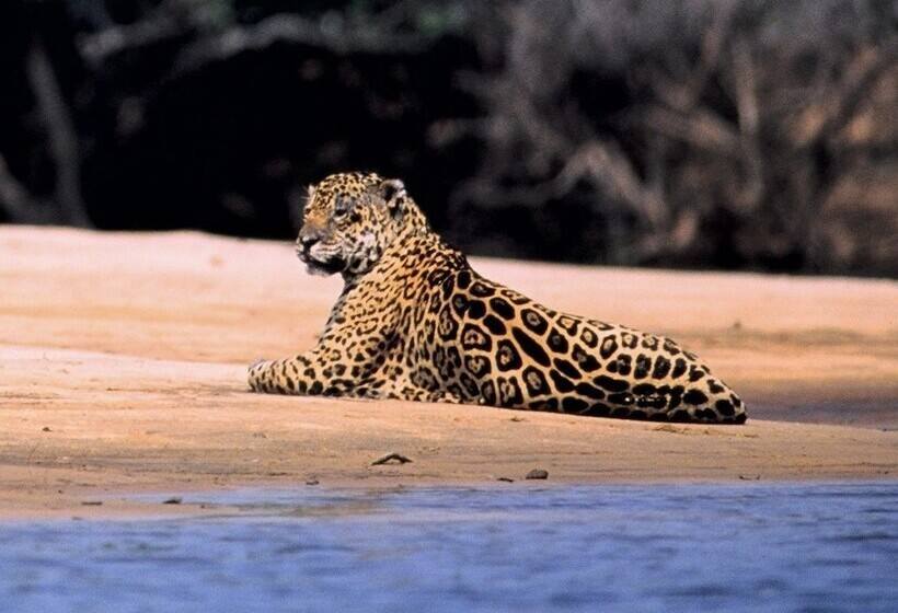 酒店 Barra Mansa Lodge