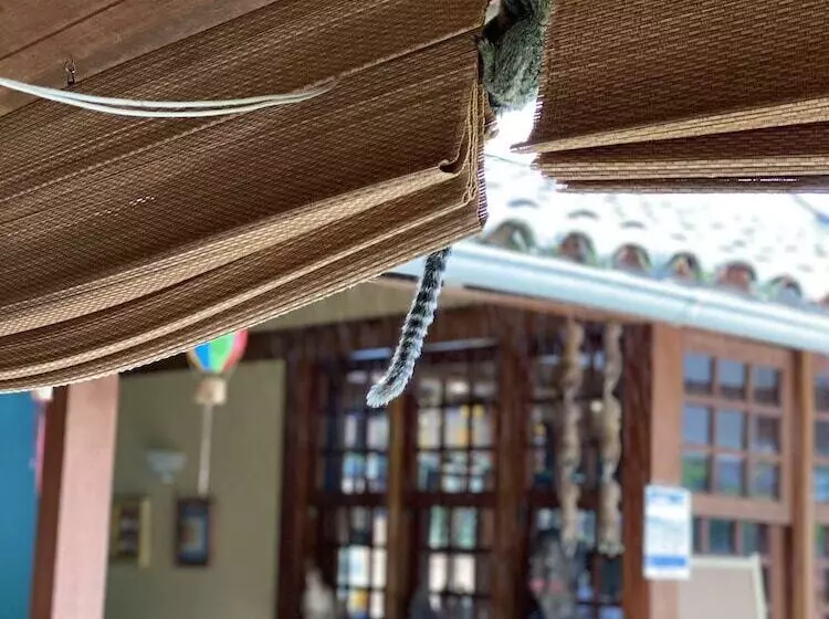 Отель Pousada Paisagem