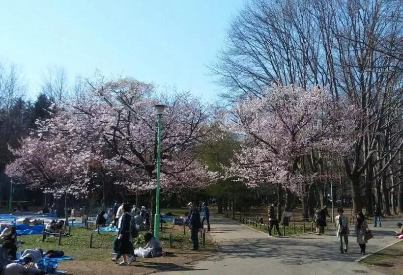 Hotel Tetora Spirit Sapporo