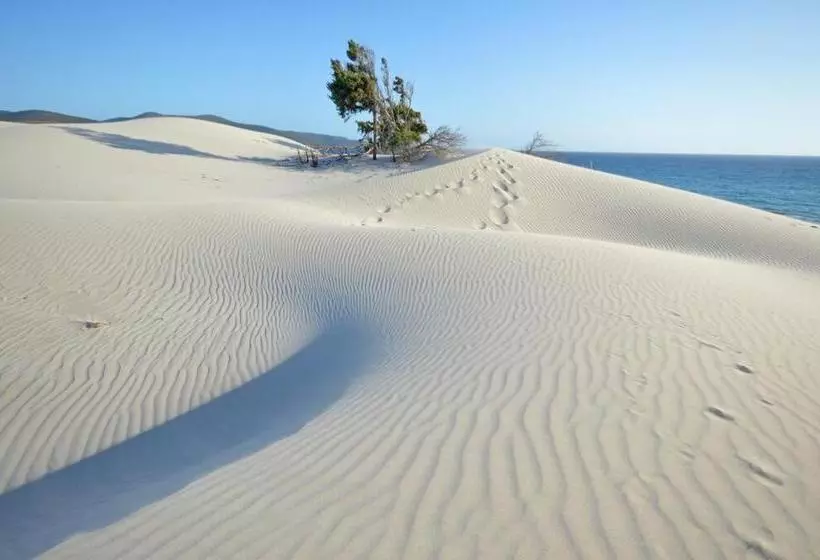 اقامتگاه Eco Village Baia Delle Ginestre