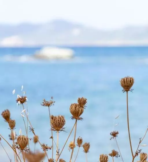 اقامتگاه Eco Village Baia Delle Ginestre