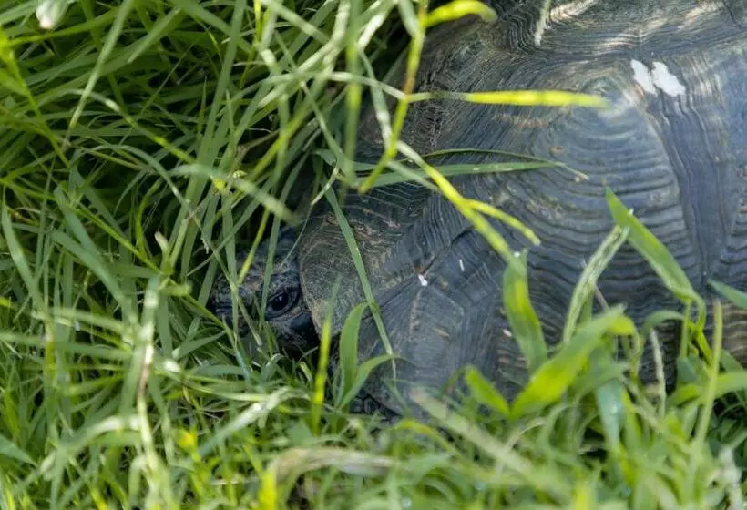 اقامتگاه Eco Village Baia Delle Ginestre