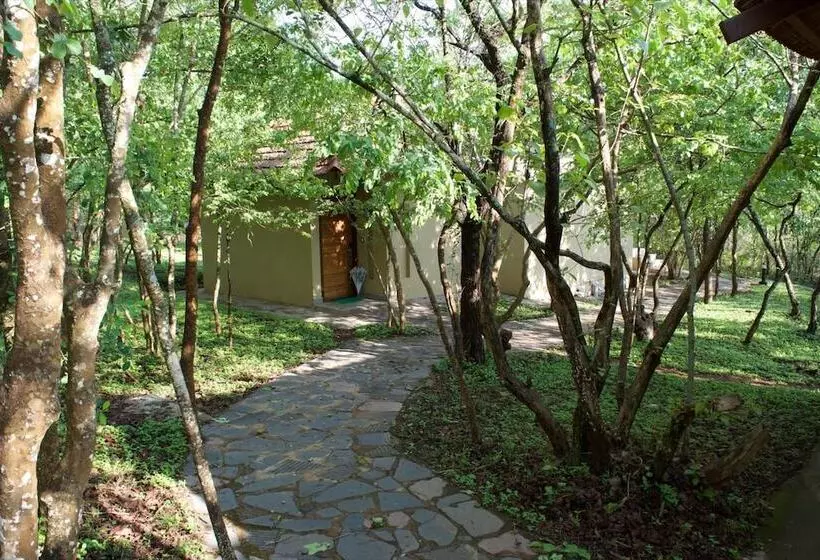 The Windflower Jungle Resorts And Spa