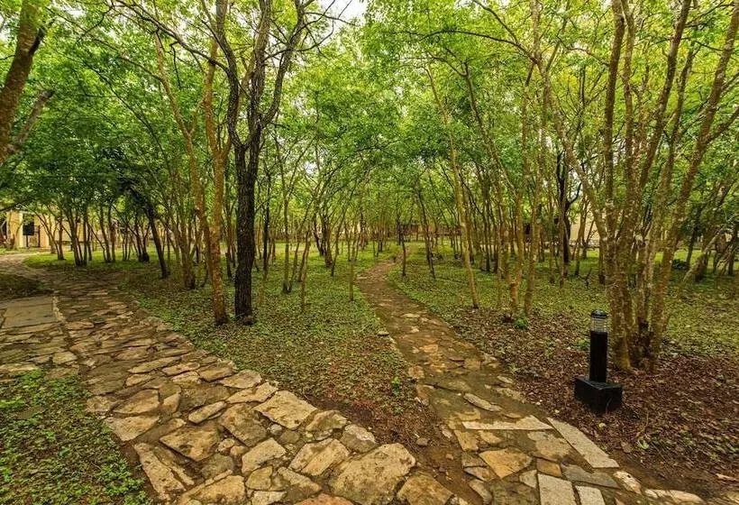 The Windflower Jungle Resorts And Spa