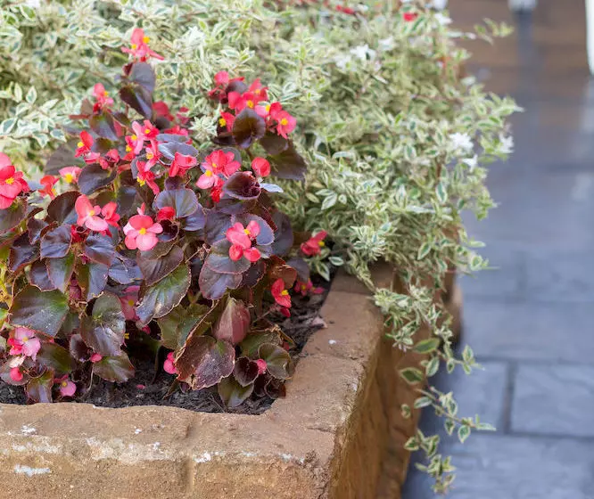 בית מלון כפרי Dutch Manor Antique