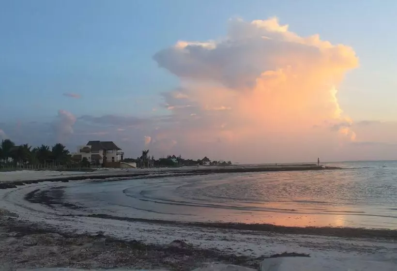 호텔 Puerto Holbox Beach Front