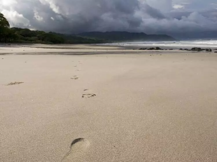 리조트 Tropico Latino