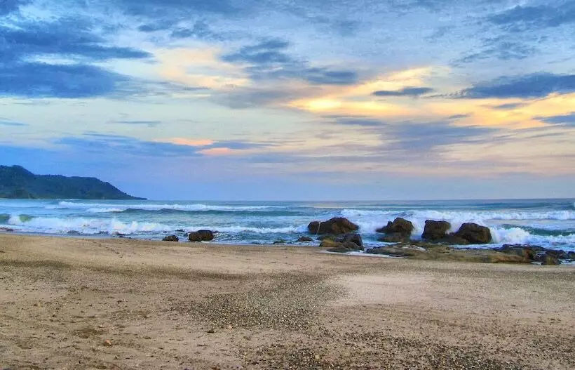 리조트 Tropico Latino