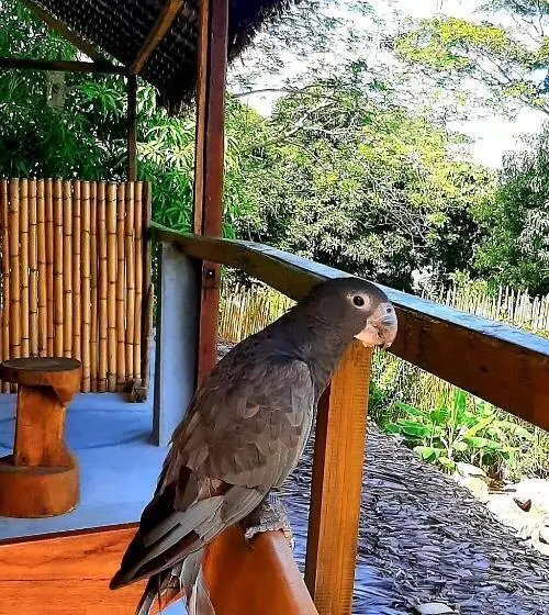 پانسیون Villa C Est La Vie