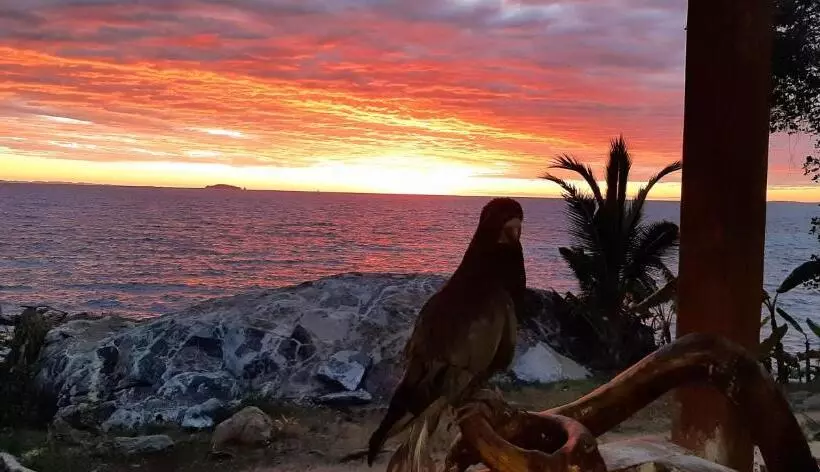 پانسیون Villa C Est La Vie