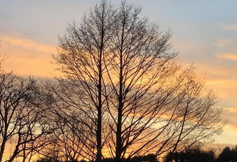 Bed and Breakfast Ashwoods House