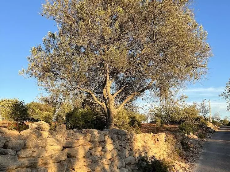 ベッドアンドブレックファースト Villa Tranberg Suites