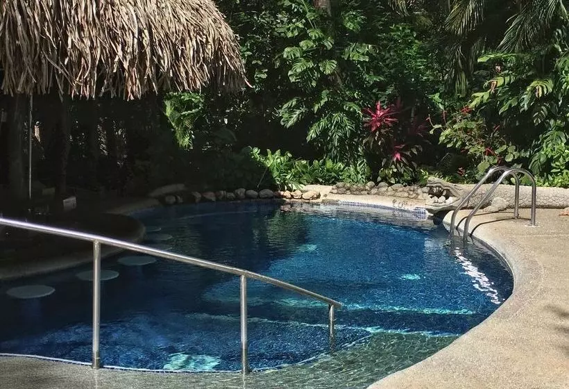 酒店 Harbor Reef Beach & Surf Resort