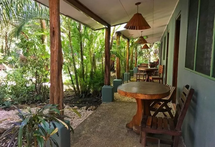 酒店 Harbor Reef Beach & Surf Resort