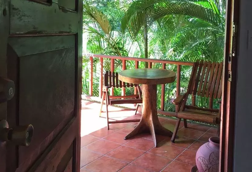 酒店 Harbor Reef Beach & Surf Resort