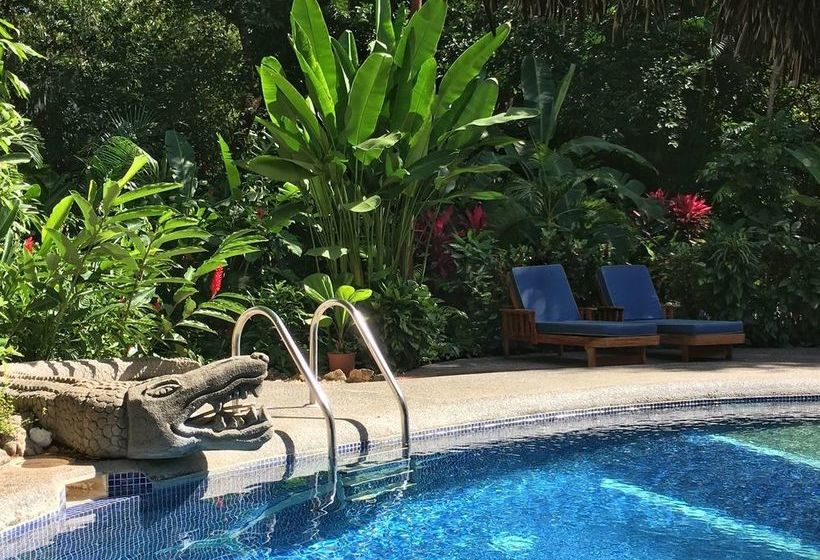 فندق Harbor Reef Beach & Surf Resort