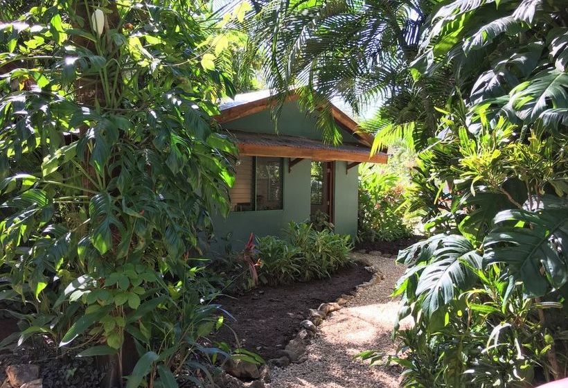 فندق Harbor Reef Beach & Surf Resort