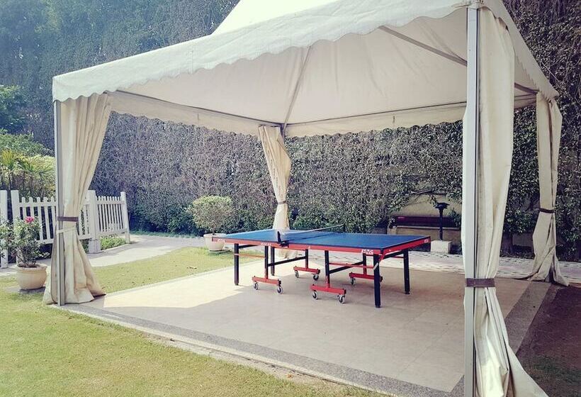 Hotel The Palms Town & Country Club Resort