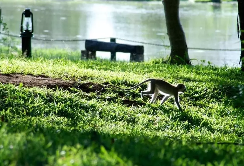 هتل Voyager Ziwani Tented Camp