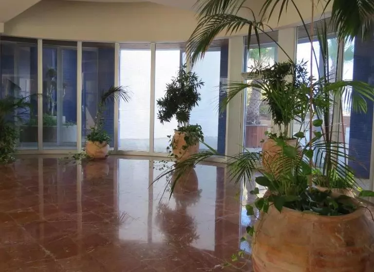 Nitza Seaview Apartments