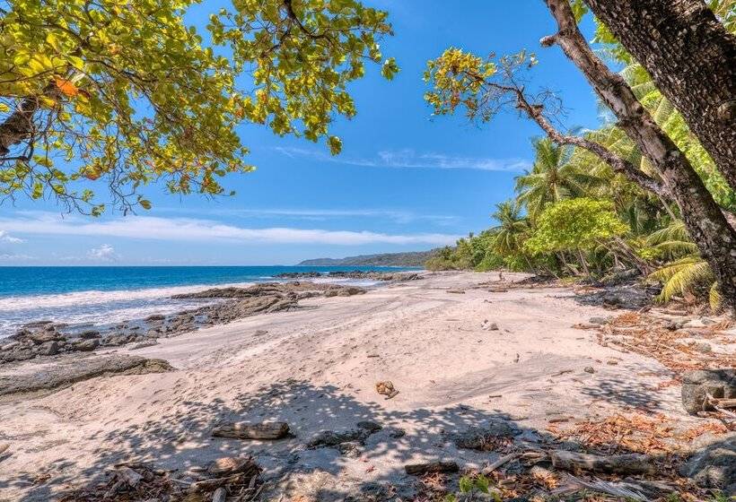 Ylang Ylang Beach Resort