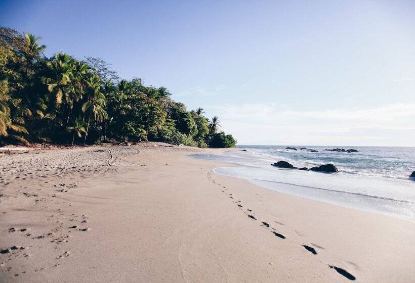 Ylang Ylang Beach Resort