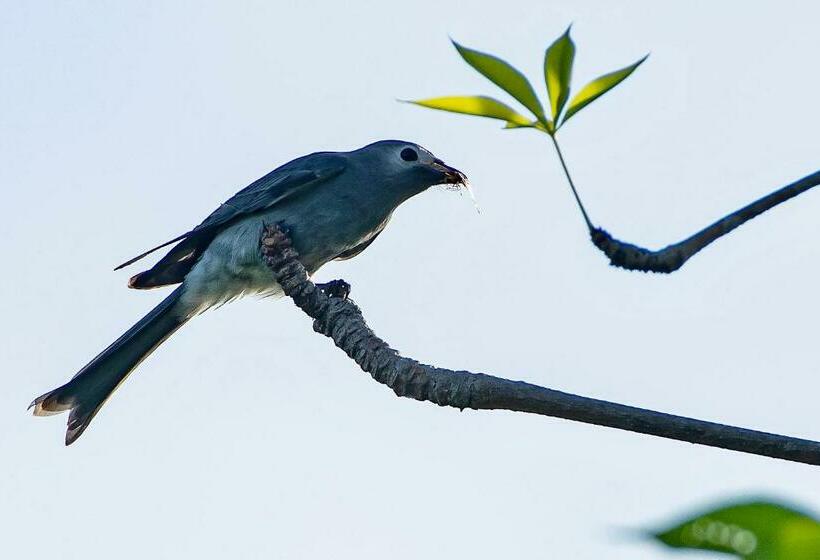 Kurort  Coconut Lane Bangkok