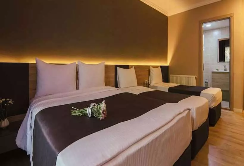 ホテル Grand Faik