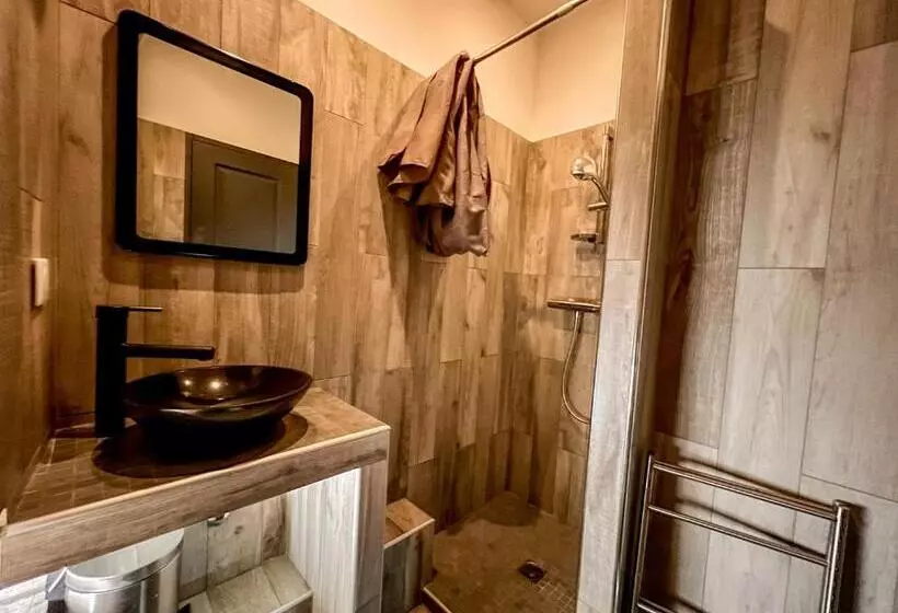 Les Studios Du Pêcheur   Hypercentre   Clim   City Trip