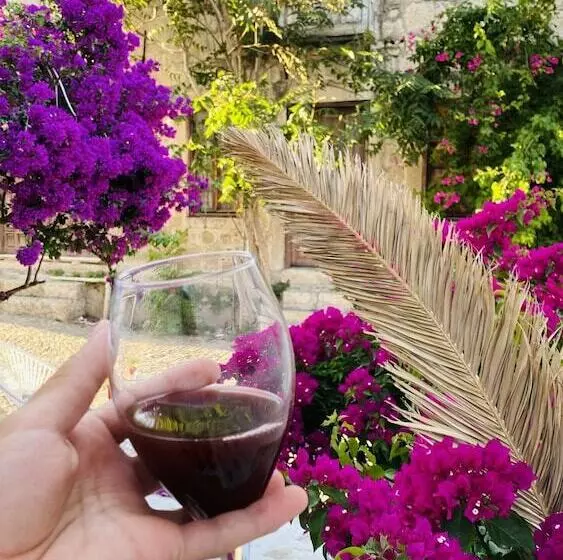 Aamiaismajoitus (B&B) Yukari Sokak Vip Butik Otel