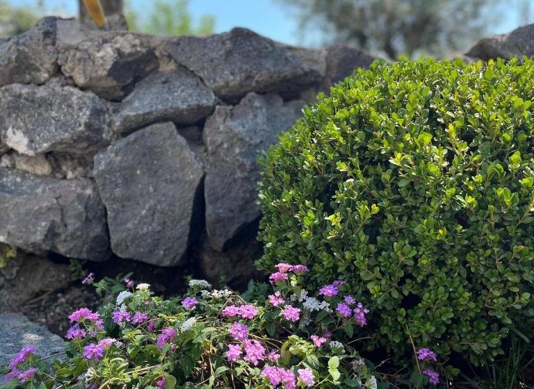 B&b Residenza Vittoria