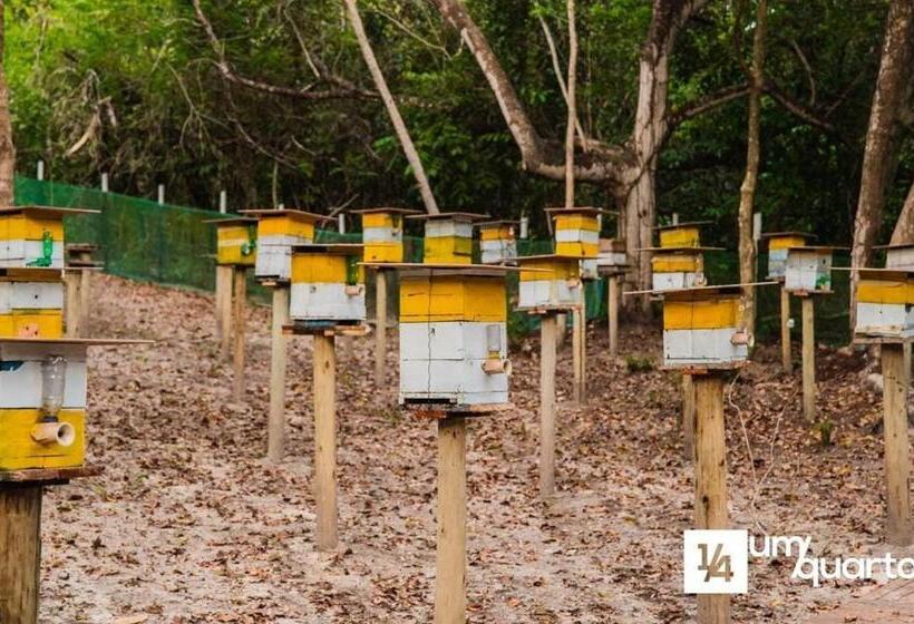 Pansiyon Ponta De Inhambupe Residences