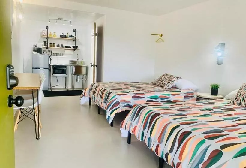 Отель Dragonfly Motor Lodge