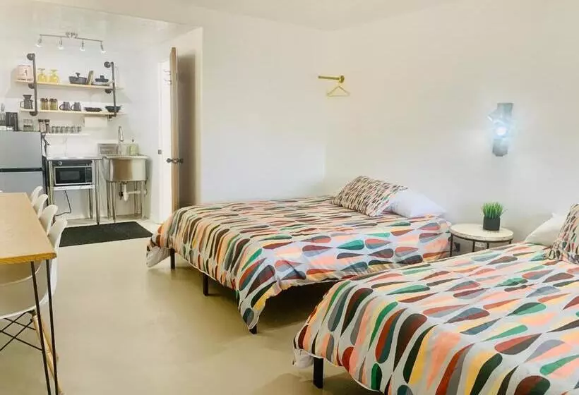 Отель Dragonfly Motor Lodge