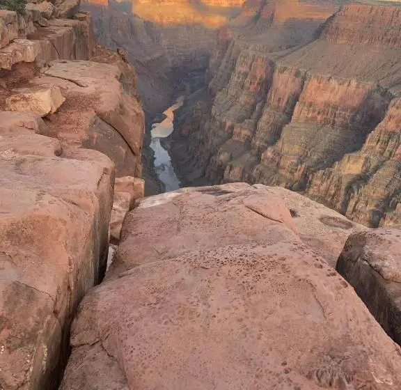 Отель Dragonfly Motor Lodge