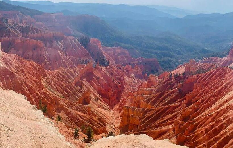 Otel Dragonfly Motor Lodge