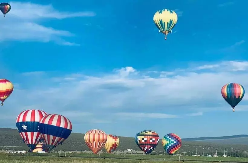 Отель Dragonfly Motor Lodge