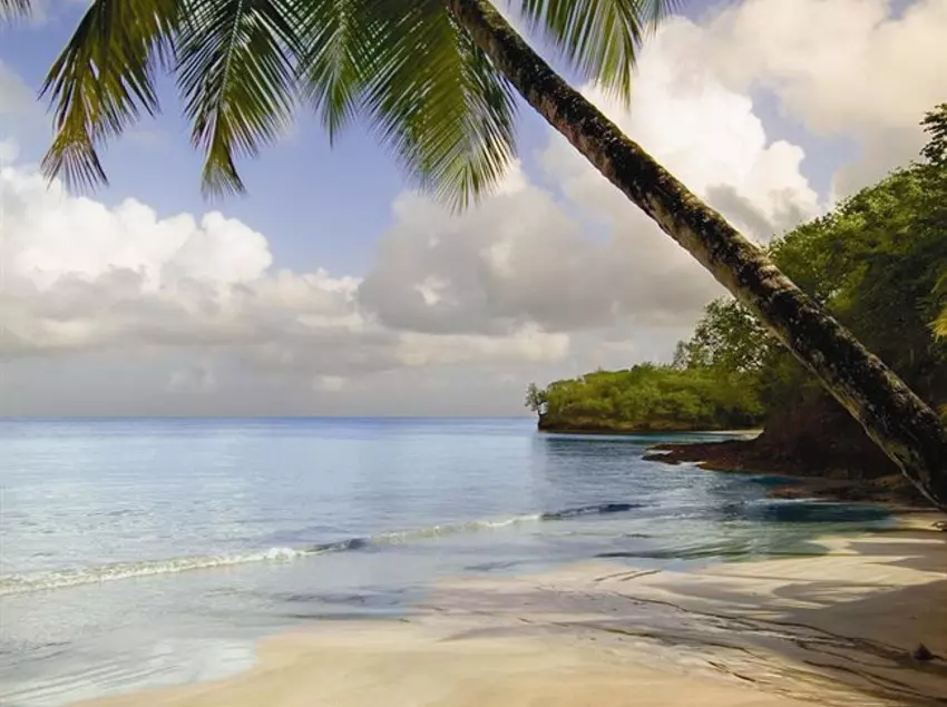 Morgan Bay Beach Resort